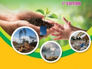 విపత్తు నిర్వహణ