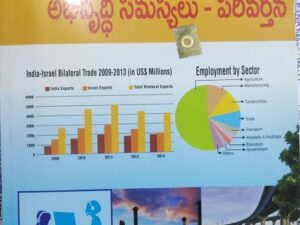 అభివృద్ధి సమస్యలు - పరివర్తన