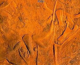 Antarani Vasantam ( అంటరాని వసంతం )