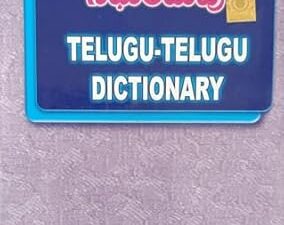 తెలుగు తెలుగు నిఘంటువు